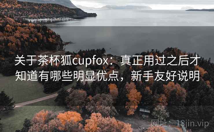 关于茶杯狐cupfox：真正用过之后才知道有哪些明显优点，新手友好说明