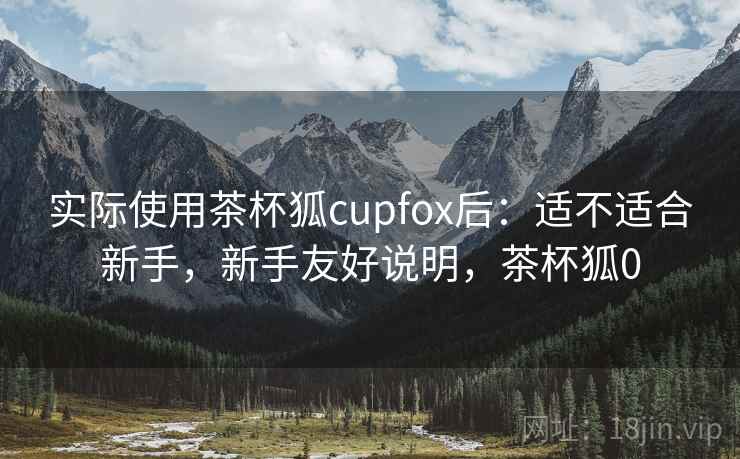 实际使用茶杯狐cupfox后：适不适合新手，新手友好说明，茶杯狐0